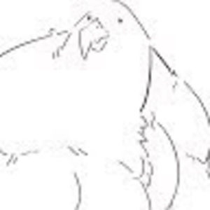 Meet your Posher, Thea